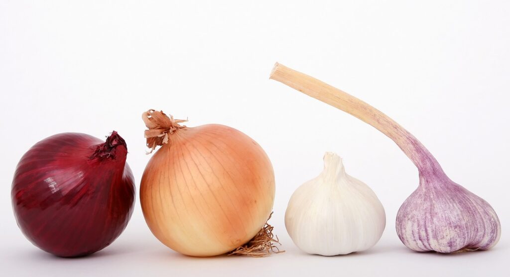 onions, garlic, vegetables, spices, herbs, common onion, bulb onion, sliced, food, ingredients, food photography, onions, garlic, garlic, vegetables, vegetables, food, food, food, food, food